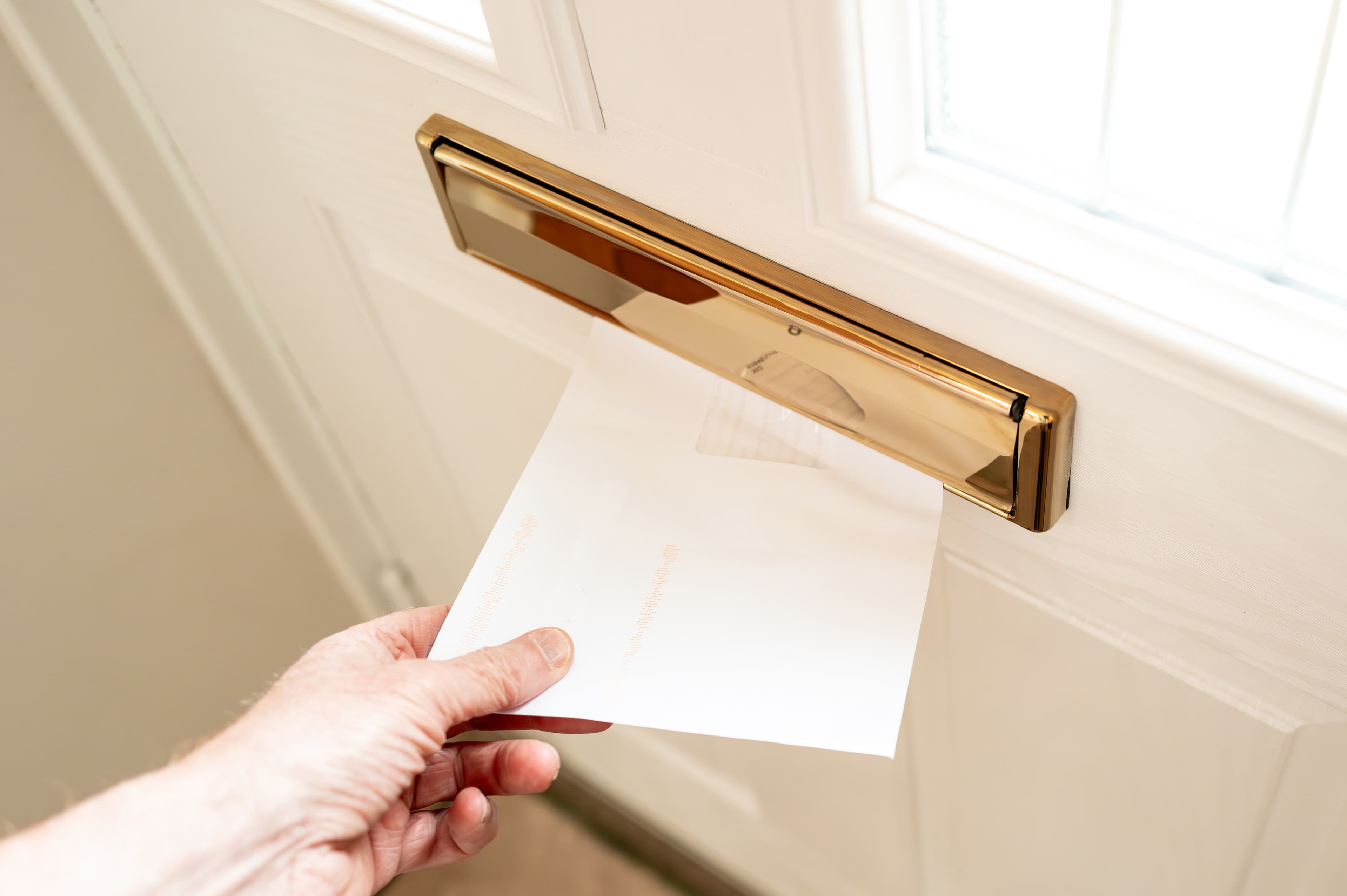 Newsletter Illustration